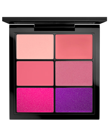 PRO Lip Palette / 6 Preferred Pinks