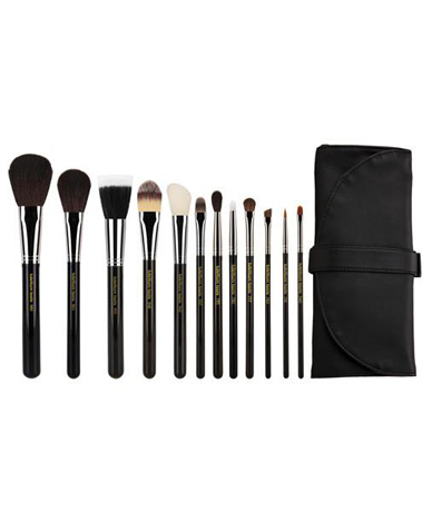 Maestro complete 12pc brush set with roll up pouch