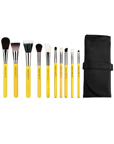 Studio mineral 10pc brush set with roll up pouch